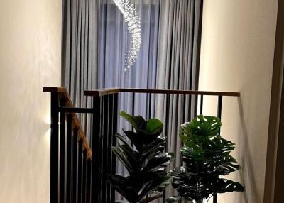 Stylish hallway with plants and modern chandelier