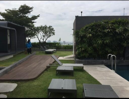 Rooftop swimming pool and lounge area with greenery and seating