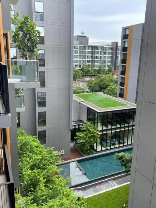 View of modern apartment buildings with a central courtyard including a pool and green space