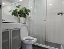 Modern bathroom with glass shower and large mirror