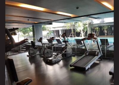 Modern gym with exercise equipment near indoor pool