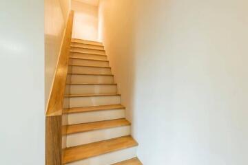 Wooden staircase with railing