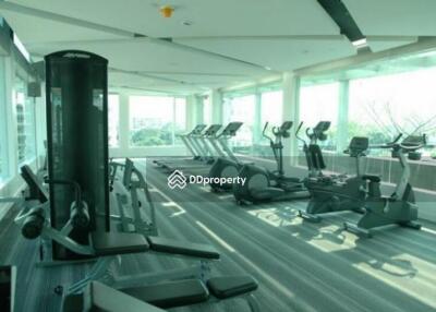 Modern gym with various exercise equipment