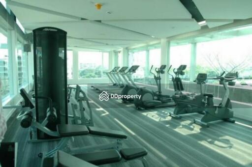 Modern gym with various exercise equipment