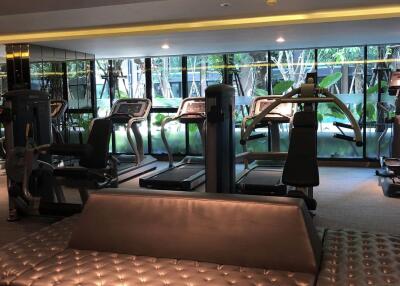 Modern gym with various exercise machines