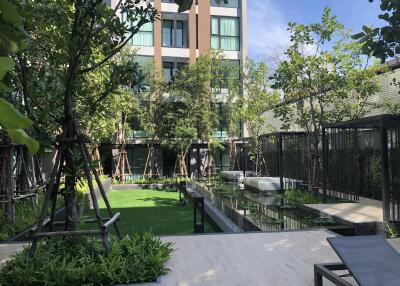 Modern garden area with lush greenery