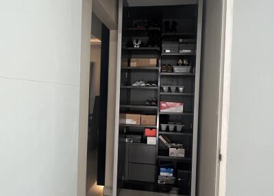 Closet with shelves and various items