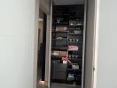 Closet with shelves and various items