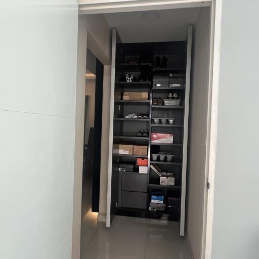 Closet with shelves and various items