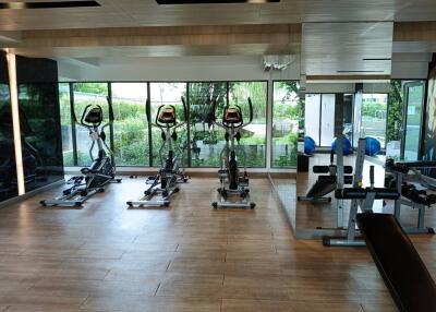 Well-equipped gym with cardio machines and weights