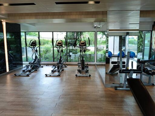 Well-equipped gym with cardio machines and weights