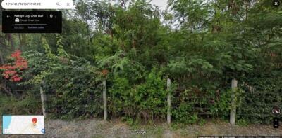 Overgrown vegetation and trees behind a wire fence