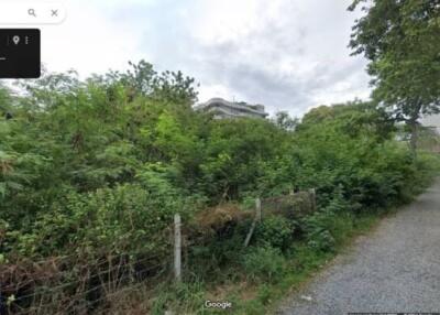 Street view of a residential area with greenery and a gravel road