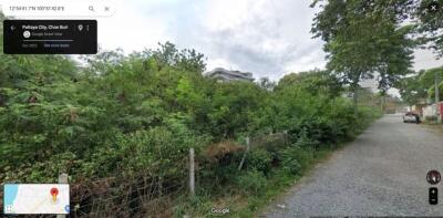 Street view of a residential area with greenery and a gravel road