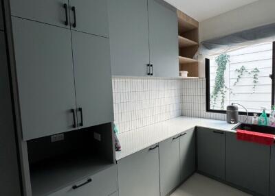 Modern kitchen with grey cabinets