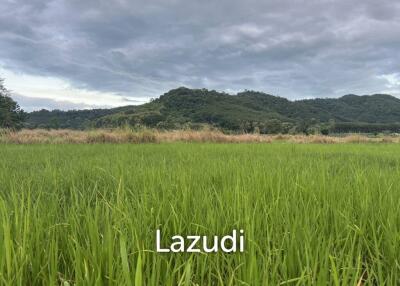 7 Rai Land For Sale With Mountain View in Huai Sak