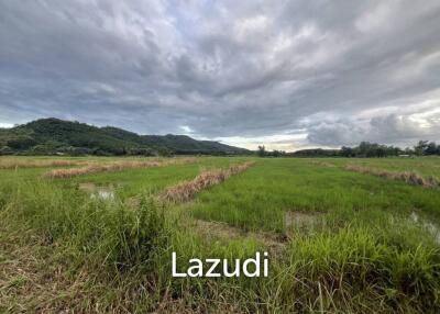 7 Rai Land For Sale With Mountain View in Huai Sak