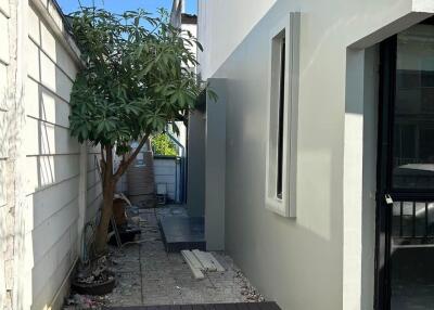 Outdoor area with deck and tree