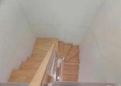 A view of a wooden staircase from above