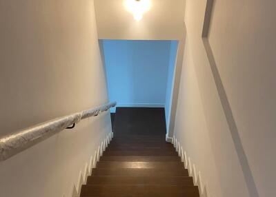 Lit staircase with dark wood steps and a handrail