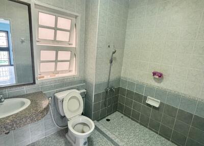 Bathroom with toilet, sink, and shower area