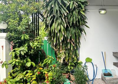 Beautiful garden area with lush greenery