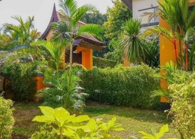 Lush garden space with palm trees and greenery