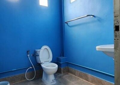 Modern bathroom with blue walls and essential fixtures