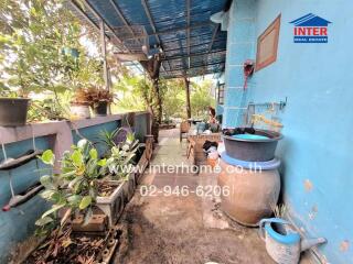 Outdoor area with plants and blue wall