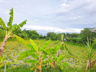 beautiful outdoor view with lush greenery and a pond