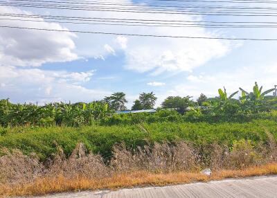 View of open land with vegetation and sky