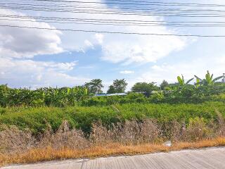 View of open land with vegetation and sky