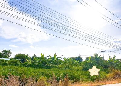 Spacious plot of land with lush greenery and power lines