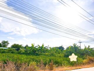 Spacious plot of land with lush greenery and power lines