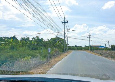 Paved road next to greenery with power lines