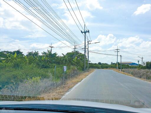 Paved road next to greenery with power lines