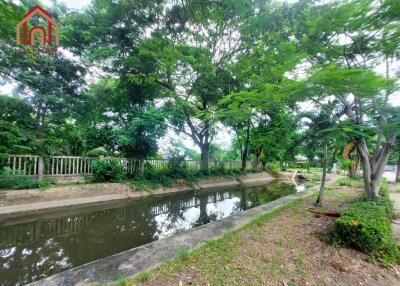 Beautiful outdoor view with trees and a canal