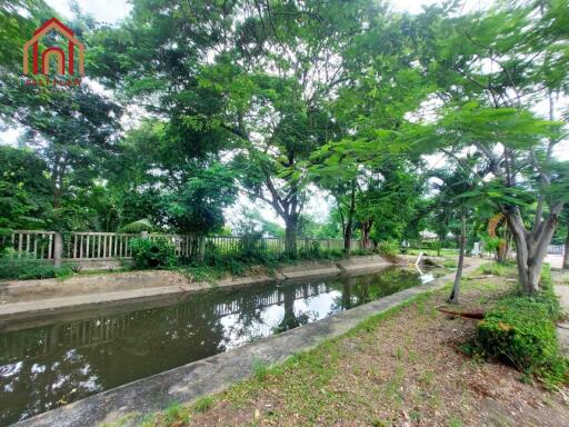 Beautiful outdoor view with trees and a canal