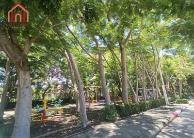 Playground with trees