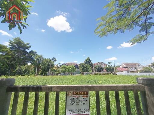 Vacant land for sale with greenery and houses in the background