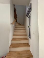 Wooden staircase with white walls and a window with blinds