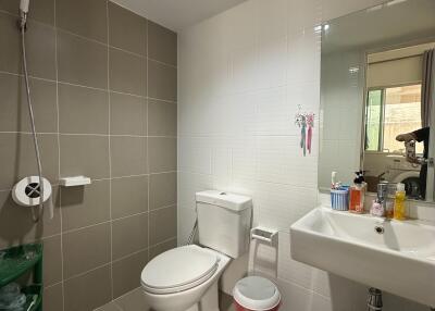 Modern bathroom with shower, toilet, and sink