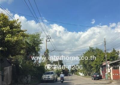 Street view with vehicles and greenery