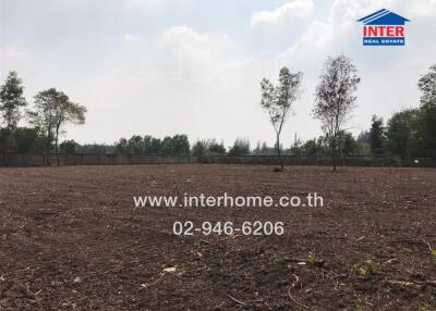 Empty land lot with trees in the background