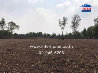 Empty land lot with trees in the background