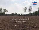 Empty land lot with trees in the background