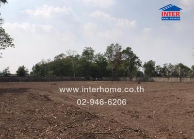 Vacant land with boundary wall and trees in the background