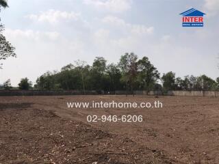 Vacant land with boundary wall and trees in the background