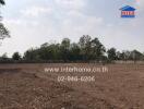 Vacant land with boundary wall and trees in the background