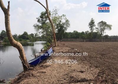 Vacant land near a water body with trees